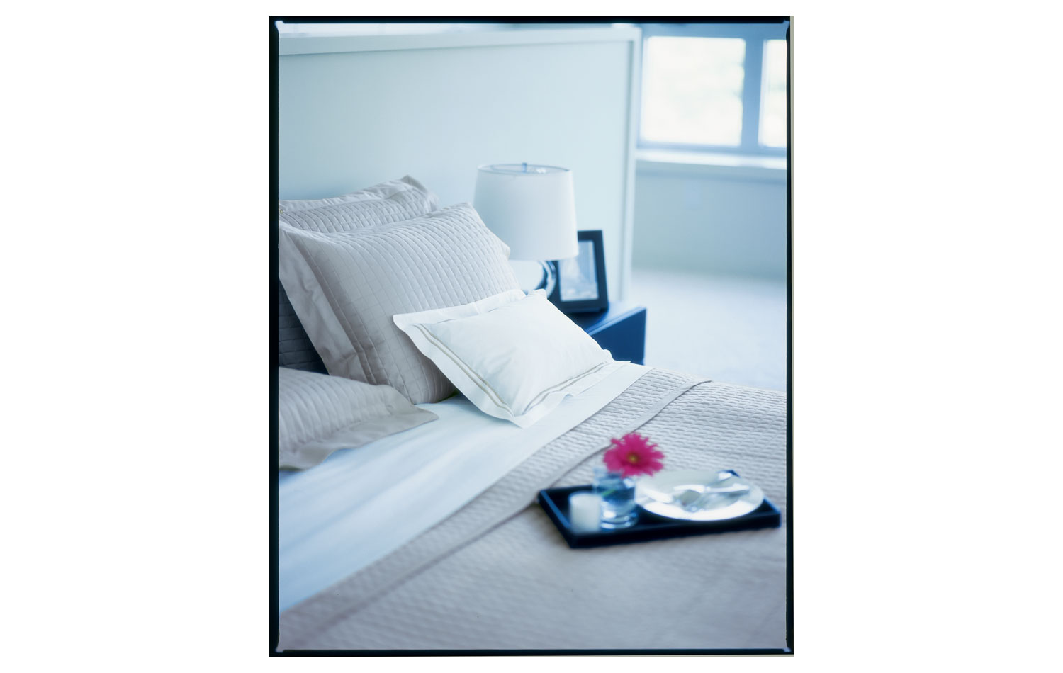 marshalls_home4